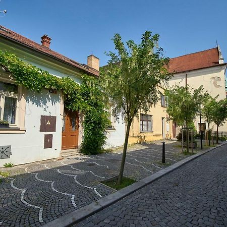 Krejcovstvi Apartment Mělník Екстериор снимка